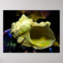 Seashell verde del turbante posters