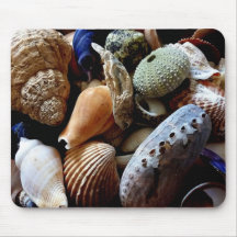 Seashells Alfombrillas De Raton