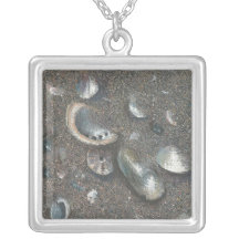 seashells en la playa pendientes