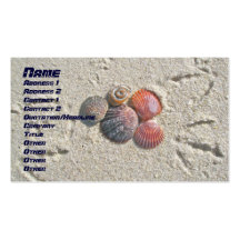Seashells en la tarjeta de visita de la playa