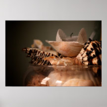 Seashells en un poster del tarro