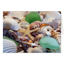 Seashells estrellas de mar y tarjeta de felicitaci
