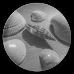 Seashells platos