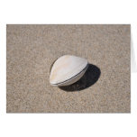 Seashells por la costa 1 felicitacion 