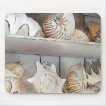 Seashells Tapetes De Ratones