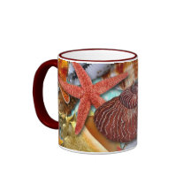 Seashells Taza De Café