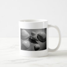 Seashells Tazas