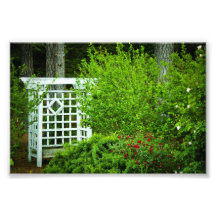 Seat en el jardín fotografia