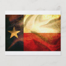 Seda que agita de la bandera de Tejas Flyer Personalizado