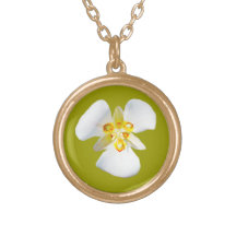 Sego Lilly Joyerias Personalizadas