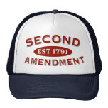 Segunda enmienda Est 1791 Gorros Bordados