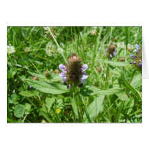 selfheal tarjetón