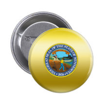 Sello del estado de Minnesota Pins
