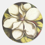 Sello floral del sobre del pegatina de la magnolia