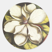 Sello floral del sobre del pegatina de la magnolia