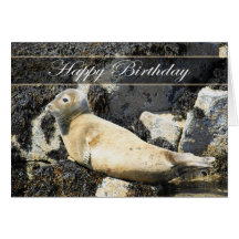 Sello, gris atlántico, tarjeta de cumpleaños