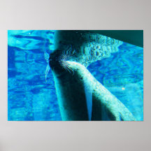 Sello Poster