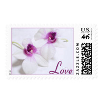 Sellos blancos del amor de la orquídea sellos