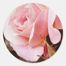Sellos color de rosa rosados del sobre etiquetas  