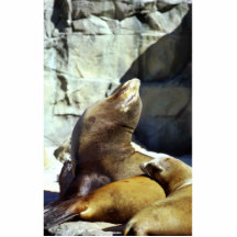 Sellos de puerto esculturas fotográficas