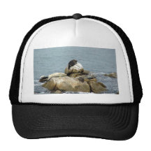 Sellos del océano gorro