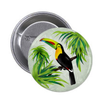 Selva Toucan Pins
