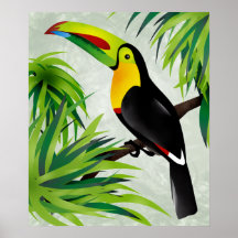 Selva Toucan Posters