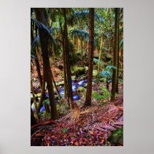 Selva tropical australiana posters