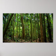 Selva tropical australiana posters