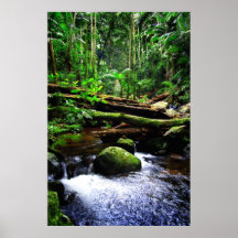 Selva tropical australiana impresiones