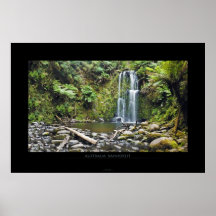 SELVA TROPICAL DE AUSTRALIA IMPRESIONES