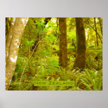 Selva tropical de Nueva Zelanda Posters