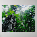 Selva tropical en la impresión del paraíso poster