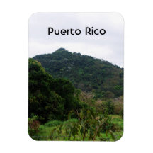 Selva tropical puertorriqueña imán de vinilo