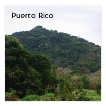 Selva tropical puertorriqueña invitación