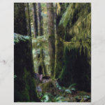 Selva tropical, Tofino, Columbia Británica Flyer Personalizado