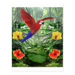 Selva tropical tropical postal
