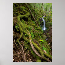 Selva tropical y cascada enormes impresiones