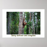 Selva tropical y orangután impresiones