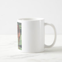 SEMENTAL ÁRABE TAZAS DE CAFÉ