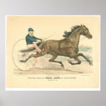 Semental Palo Alto el trotar por Electioneer (1791 Posters
