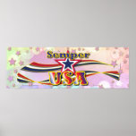 Semper los E.E.U.U. América protagoniza los poster