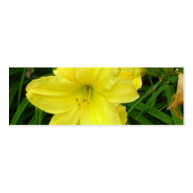 Señal amarilla de los Daylilies Tarjetas De Negocios