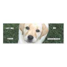 Señal amarilla del labrador retriever tarjeta de visita