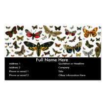 Señal anticuaria de la imagen de las mariposas col plantilla de tarjeta de negocio