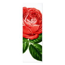 Señal color de rosa tarjeta personal
