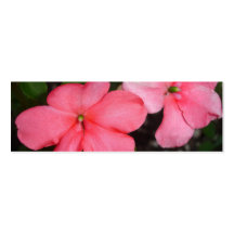Señal coralina de la flor de Impatiens Tarjetas De Visita