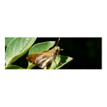 Señal de la mariposa del capitán plantillas de tarjetas de visita