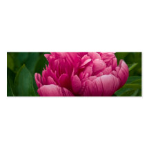 Señal rosada del Peony • Señal/tarjeta de visita
