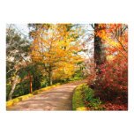 Sendero del otoño en Azores Anuncios